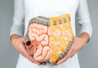 怎么吃会让肠道越来越堵 肠道健康有多重要