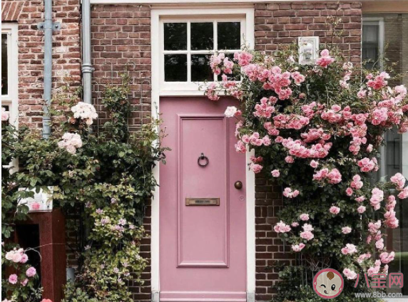 如何辨别伴侣关系是否健康 怎样让伴侣关系保持健康 如何辨别伴侣关系是否健康 怎样让伴侣关系保持健康