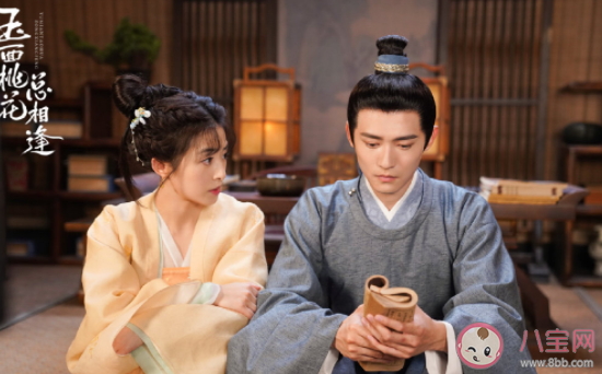 《玉面桃花总相逢》若柒是什么身份 傅太师为什么派人杀了若柒