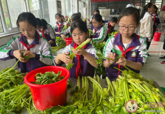 2022小学劳动节主题教育活动报道美篇 2022小学五一劳动节活动新闻稿大全 2022小学劳动节主题教育活动报道美篇 2022小学五一劳动节活动新闻稿大全