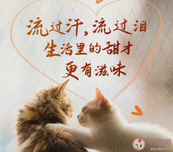 2022五一致敬劳动人民的朋友圈句子 2022五一向劳动人民致敬的文案说说 2022五一致敬劳动人民的朋友圈句子 2022五一向劳动人民致敬的文案说说