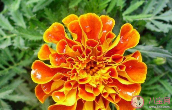 2022告别四月迎接五月的正能量说说句子 2022送走四月迎来五月的励志说说