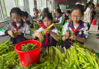 2022小学劳动节主题教育活动报道美篇 2022小学五一劳动节活动新闻稿大全