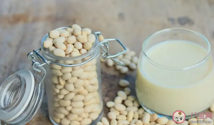 有乳腺疾病还能喝豆浆吗 常见的乳腺疾病有哪些 有乳腺疾病还能喝豆浆吗 常见的乳腺疾病有哪些