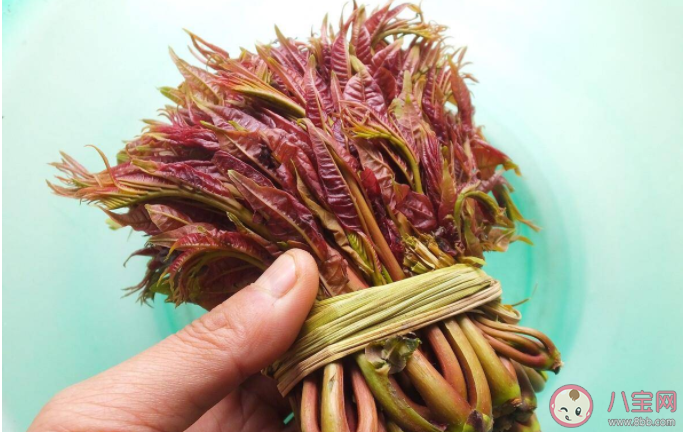 蚂蚁庄园雨前椿芽嫩如丝说的是哪个节气上市的香椿特别鲜嫩 4月20日正确答案