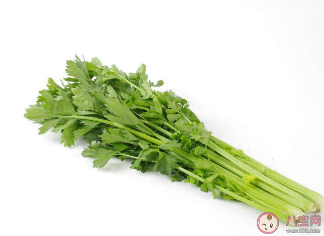 蚂蚁庄园雨前椿芽嫩如丝说的是哪个节气上市的香椿特别鲜嫩 4月20日正确答案