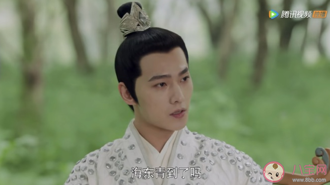 《且试天下》苍一是什么鸟 丰兰息养那么多鹰干什么
