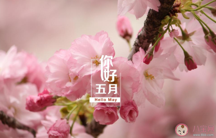 2022四月最后一天图片心情说说 2022四月最后一天的短语句子