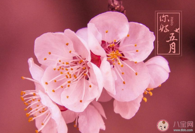 2022四月最后一天图片心情说说 2022四月最后一天的短语句子