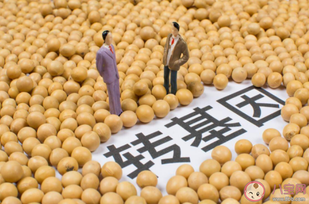 转基因食品安全吗 转基因食品分类有哪些