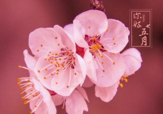 2022四月最后一天图片心情说说 2022四月最后一天的短语句子