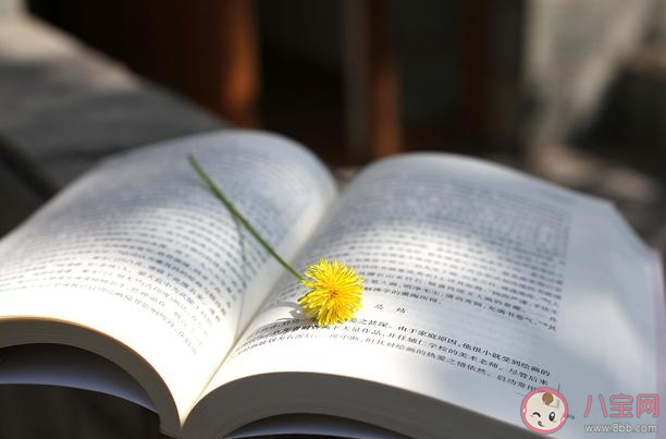 读书现在还值钱吗 为什么要一直读书 读书现在还值钱吗 为什么要一直读书