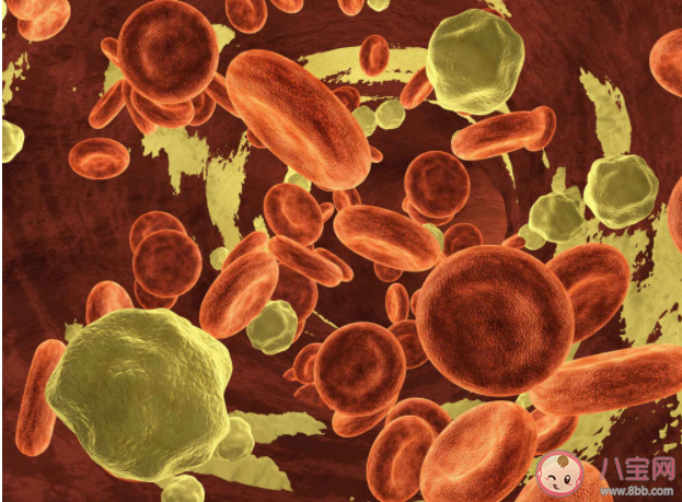 胆固醇与甘油三酯哪个升高更危险 低密度脂蛋白胆固醇的正常范围是多少 胆固醇与甘油三酯哪个升高更危险 低密度脂蛋白胆固醇的正常范围是多少