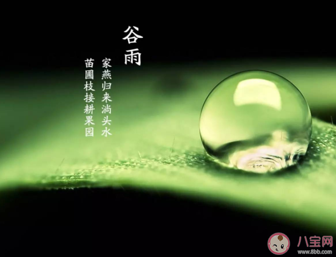 有哪些唯美不俗的谷雨文案 谷雨节气美好朋友圈文案大全