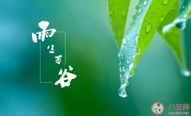 有哪些唯美不俗的谷雨文案 谷雨节气美好朋友圈文案大全