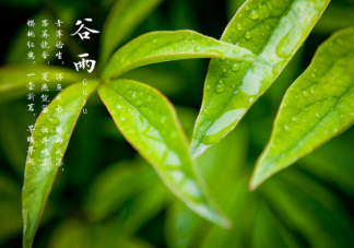 有哪些唯美不俗的谷雨文案 谷雨节气美好朋友圈文案大全