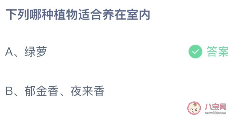 下列哪种植物适合养在室内 蚂蚁庄园4月22日答案最新