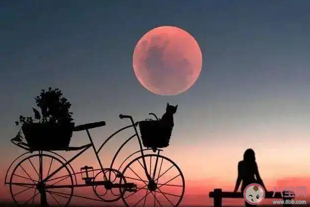 该如何跟自己的意难平和解 感到意难平该怎么办