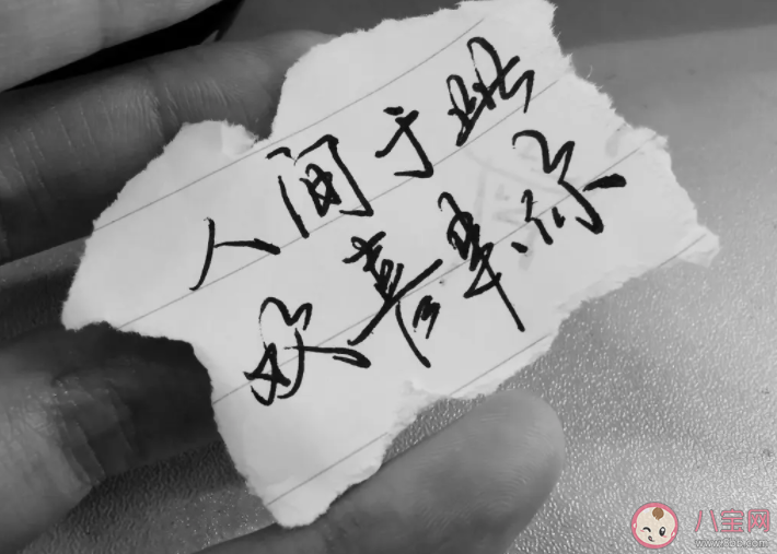 注定有缘分的两个人是什么样的 见到命中注定的人会有什么感觉 注定有缘分的两个人是什么样的 见到命中注定的人会有什么感觉