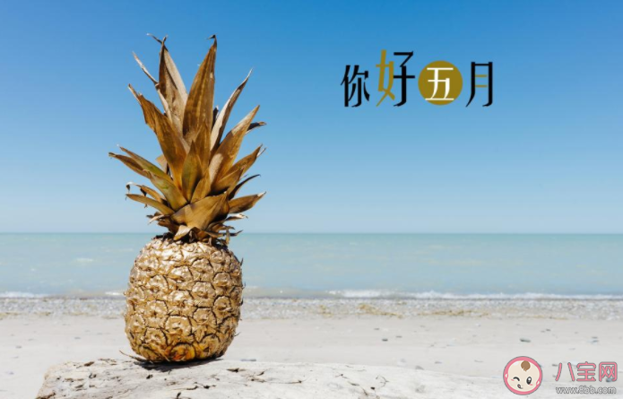 2022五月第一天你好的图片文案说说 2022五月第一天早安的心情句子