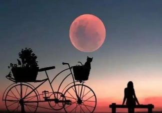 该如何跟自己的意难平和解 感到意难平该怎么办