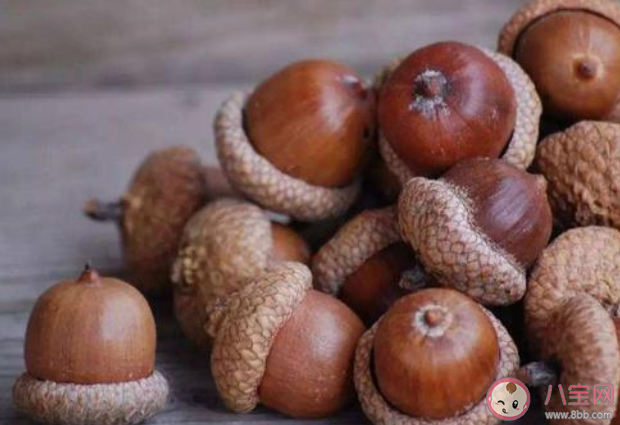 成语鹿鹿鱼鱼是用来形容什么 蚂蚁庄园4月23日答案最新