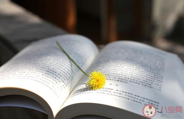 读书和积累社会经验哪个更重要 读书能带给人哪些快乐 读书和积累社会经验哪个更重要 读书能带给人哪些快乐