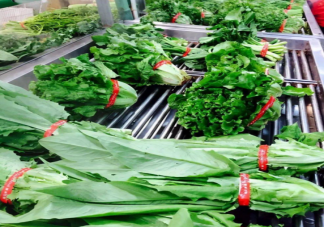 用胶带捆绑的蔬菜甲醛超标会严重危害健康吗 ​蚂蚁庄园4月25日答案