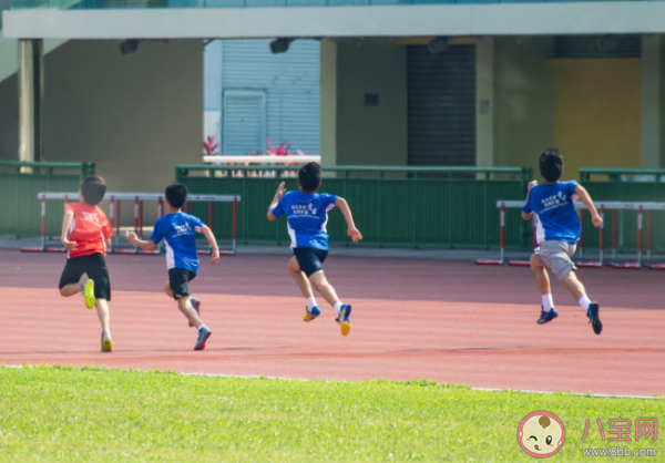 孩子有必要上体育培训班吗 选择体育类型兴趣班该如何避坑 孩子有必要上体育培训班吗 选择体育类型兴趣班该如何避坑