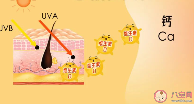 正常防晒会阻碍人体吸收钙吗 蚂蚁庄园4月28日答案最新