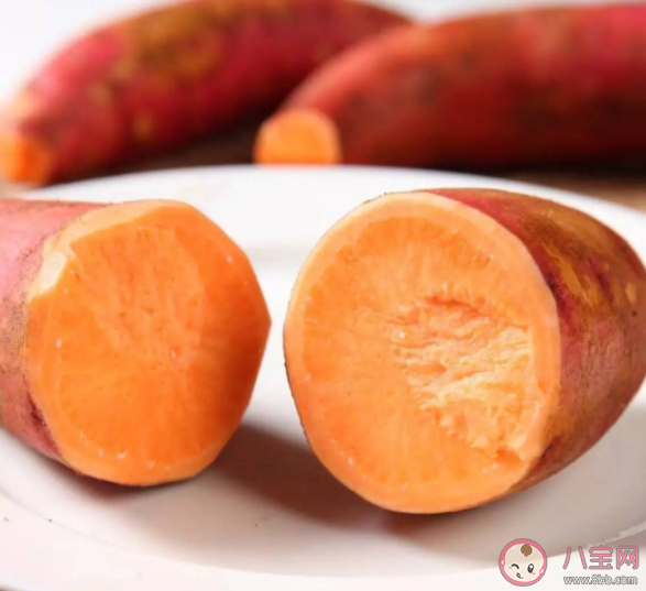 网红地瓜六鳌红蜜薯产自哪里 蚂蚁新村4月27日答案