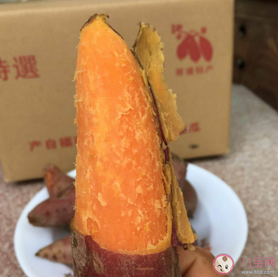 网红地瓜六鳌红蜜薯产自哪里 蚂蚁新村4月27日答案