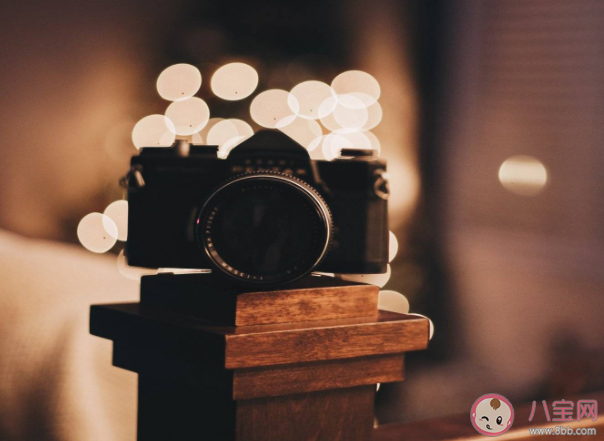 先谋生再谋爱的经典语录句子 先谋生再谋爱的文案说说大全 先谋生再谋爱的经典语录句子 先谋生再谋爱的文案说说大全