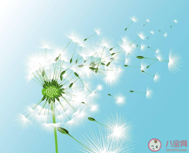 先谋生再谋爱的经典语录句子 先谋生再谋爱的文案说说大全 先谋生再谋爱的经典语录句子 先谋生再谋爱的文案说说大全