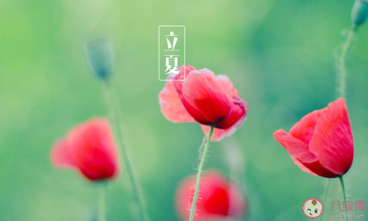 2022立夏节气图片发朋友圈说说 2022立夏节气的带字图片说说