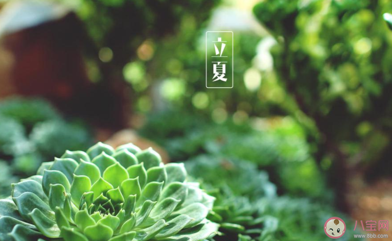 2022立夏节气图片发朋友圈说说 2022立夏节气的带字图片说说