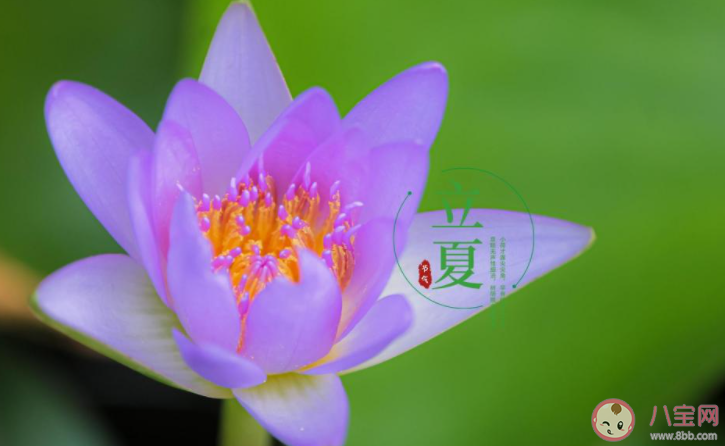 2022立夏节气图片发朋友圈说说 2022立夏节气的带字图片说说