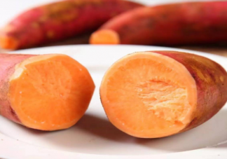 网红地瓜六鳌红蜜薯产自哪里 蚂蚁新村4月27日答案