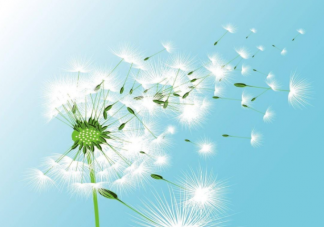 先谋生再谋爱的经典语录句子 先谋生再谋爱的文案说说大全