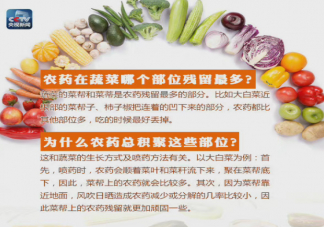 淀粉和盐水哪个洗菜更干净 蔬菜怎么洗最干净