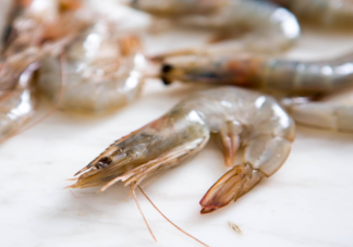 虾头变黑还能吃吗 哪些大虾不要买