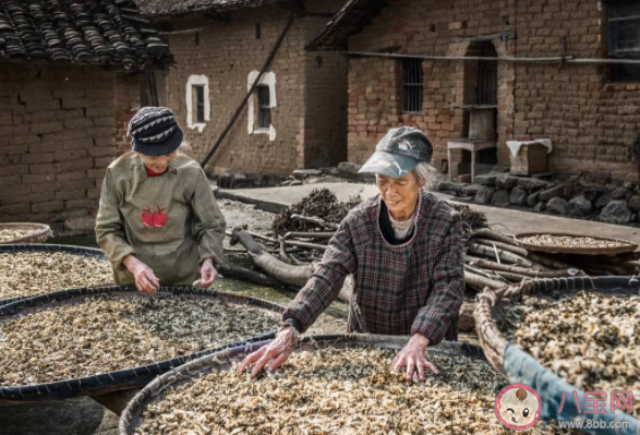 古人是怎么让食物长久保存的 古代保存食物的几种方法
