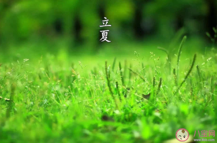 立夏为什么要称体重 立夏还有哪些习俗2022