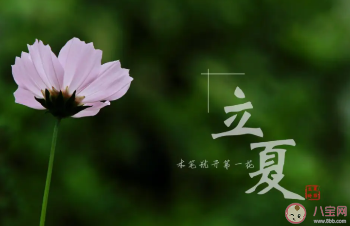 立夏就是真正入夏吗 立夏之后就是夏天了吗 立夏就是真正入夏吗 立夏之后就是夏天了吗