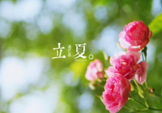 立夏为什么要称体重 立夏还有哪些习俗2022