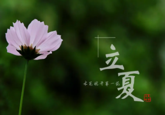 立夏就是真正入夏吗 立夏之后就是夏天了吗