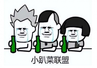 小趴菜是什么梗 小趴菜是什么意思