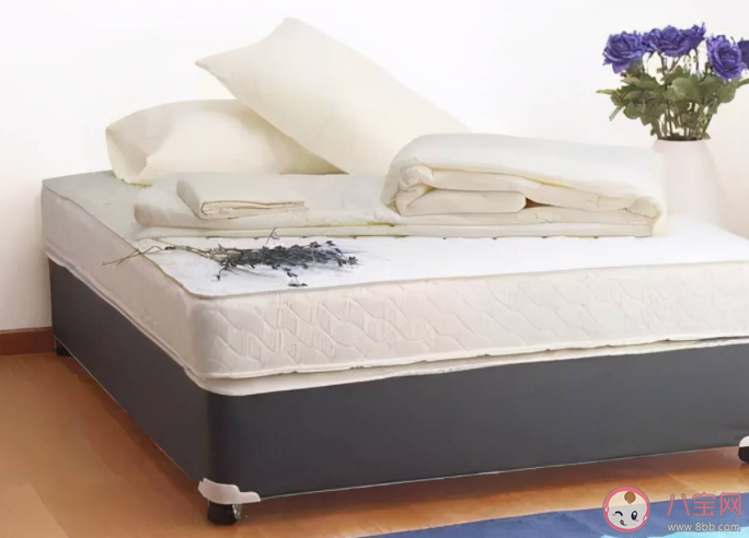 起床后多久叠被子比较好 被子有味道怎么办 起床后多久叠被子比较好 被子有味道怎么办