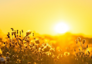 2022夏天小清新文案朋友圈短句 2022夏天治愈文案清凉句子大全