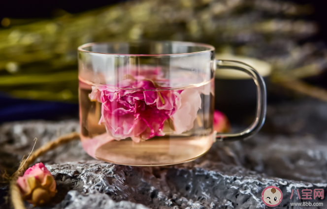 蚂蚁庄园泡玫瑰花茶的水温多高为宜 5月10日正确答案 蚂蚁庄园泡玫瑰花茶的水温多高为宜 5月10日正确答案